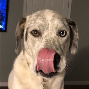 Meet your Posher, Keely